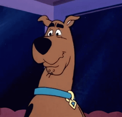 Scooby Doo From The Scooby Doo Cartoon Looks Surprised And Shocked GIF