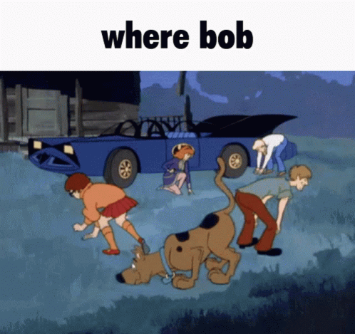 Scooby Doo Gang Looking For Bob GIF