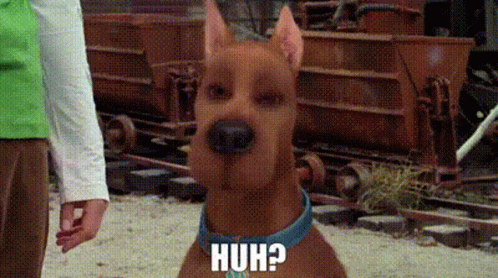 Scooby Doo Is Wearing A Blue Collar And Standing Next To A Man . GIF