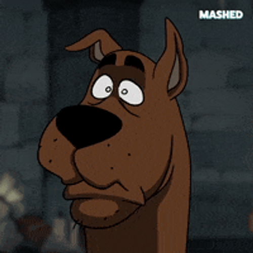 Scooby Doo Scared Gif
