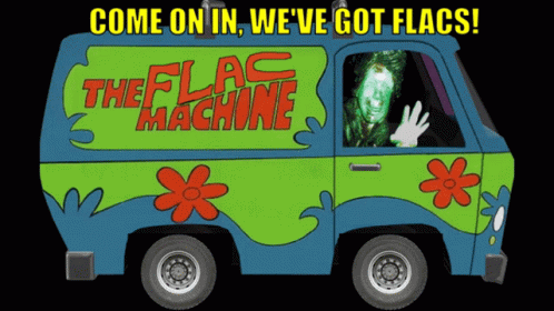 Scooby Doo Van Saying Come On In We've Got Flags