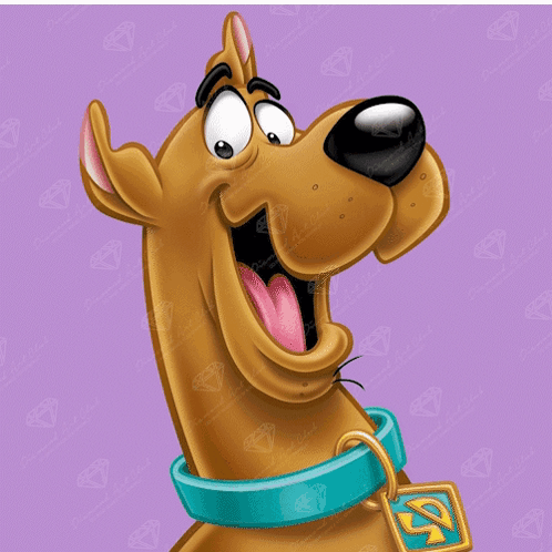 Scooby Doo With Blue Collar And S Tag GIF