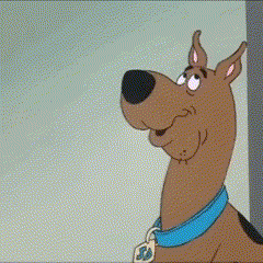 Scooby Doo With Blue Collar And SD Tag GIF
