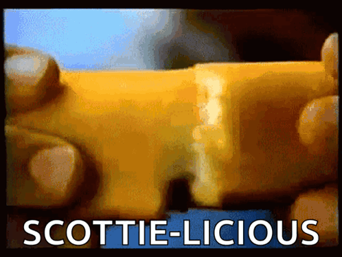 Scottie-Licious Advertisement With Yellow Object GIF