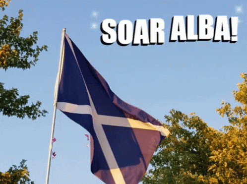 Scottish Flag Flying In Wind Saying Soar Alba GIF