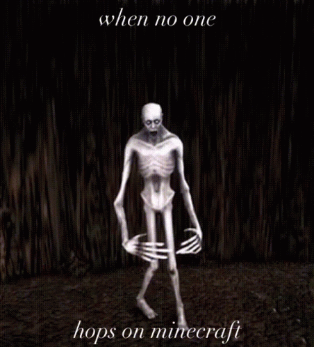 Scp Hop On Minecraft Guy GIF
