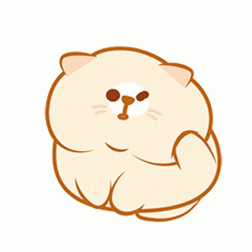 Scratches Head Cartoon Chubby Cat GIF