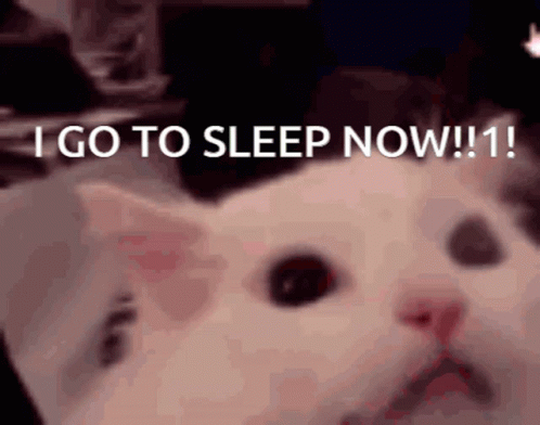 Screaming Cat Go To Sleep Now GIF