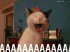 Screaming Cat Meme Aaaaaaaaaa GIF