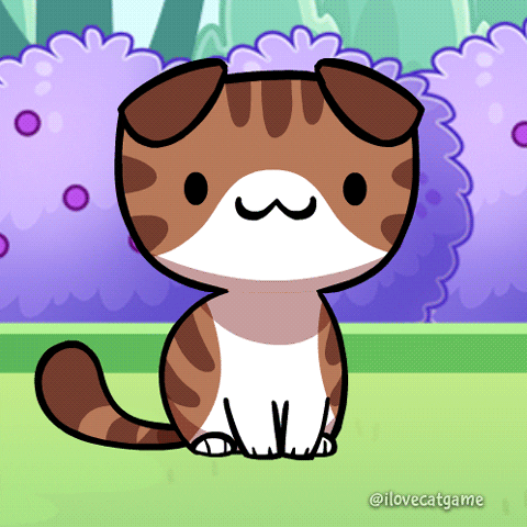 Screaming Cat Meme Animated Scared Of Butterflies GIF