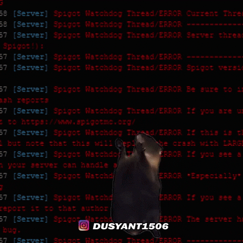 Screaming Cat Meme On Coding GIF