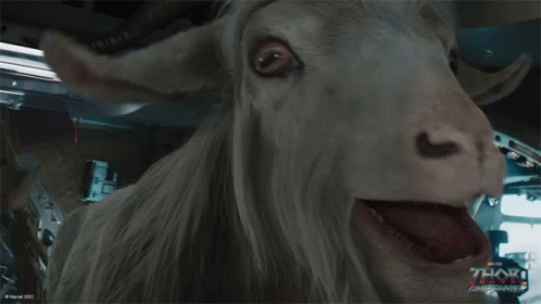 Screaming Goat Zoom In Thor Love And Thunder GIF