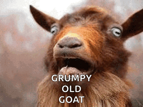 Screaming Grumpy Old Goat Slide Show GIF
