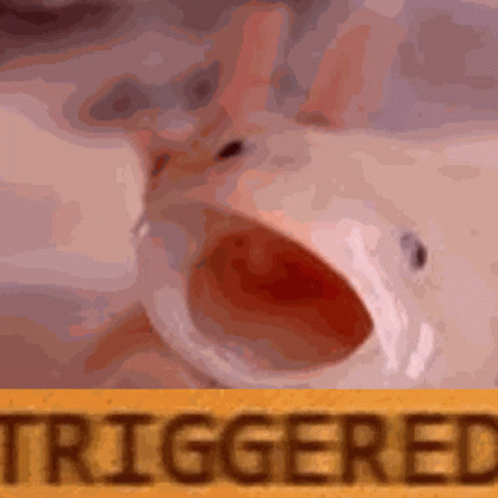 Screaming Triggered Axolotl Meme GIF