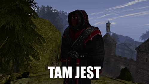 Screenshot Of Video Game With Tam Jest GIF