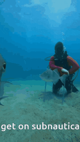 Scuba Diver and Fish with Get on Subnautica