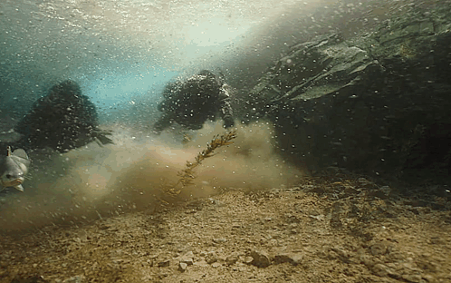 Scuba Divers Swimming Underwater GIF