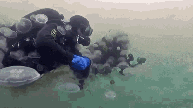 Scuba Divers With Jellyfish GIF