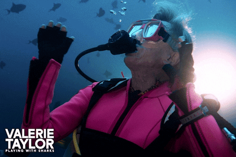 Scuba Diving Film Valerie Taylor GIF