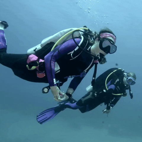Scuba Diving Girls Underwater Sea GIF