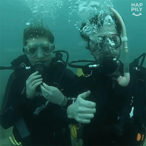 Scuba Diving Thumbs Up GIF