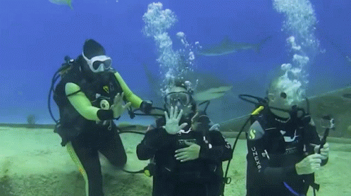 Scuba Diving Waving Groufie Sharks GIF
