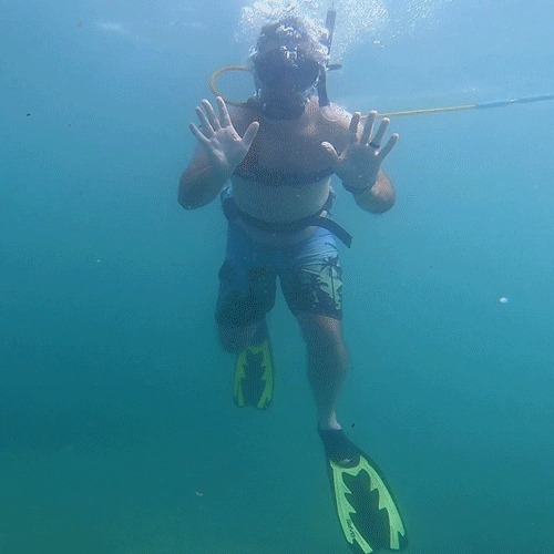 Scuba Diving Waving Hello Fish GIF