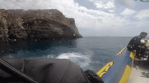 Scuba Steve Goes Back To The Boat GIF
