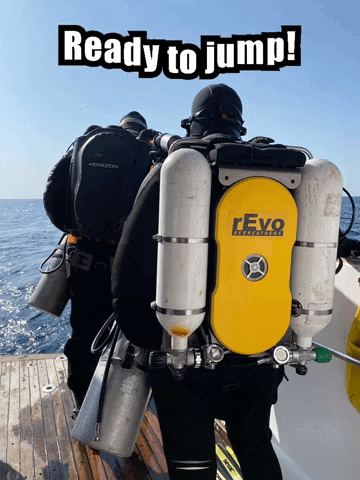 Scuba Steve Ready To Jump GIF