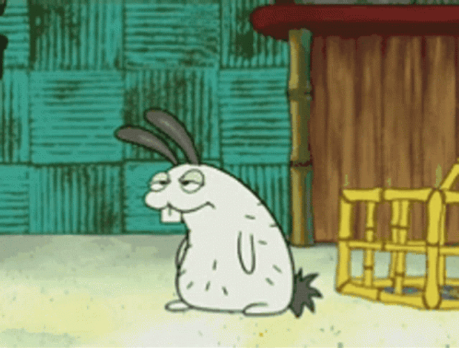 Sea Bunny Starving GIF