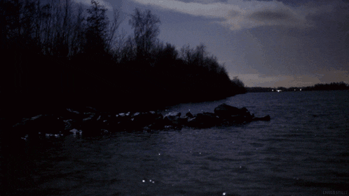Sea Gif GIF