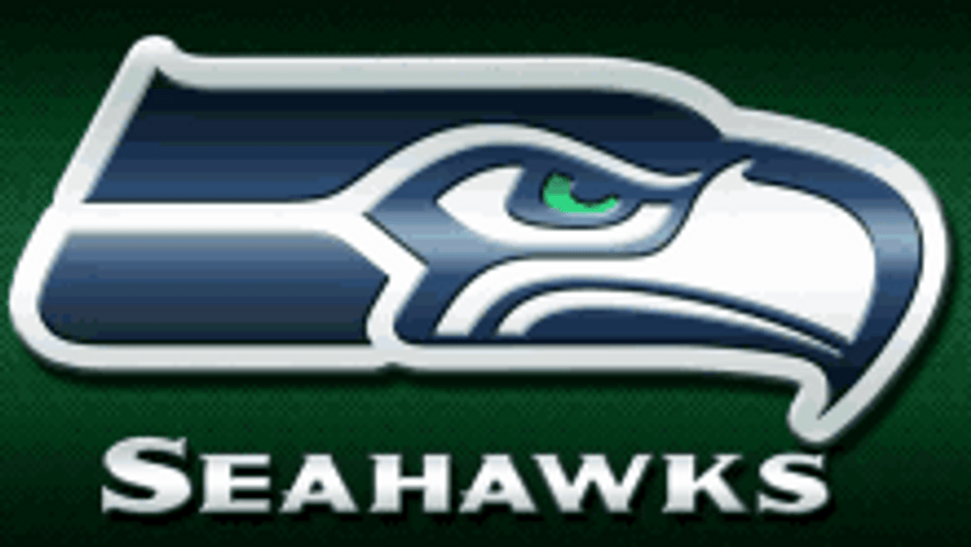 Sea Hawks Freezing Logo GIF