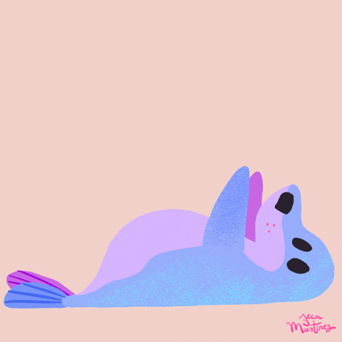 Sea Lion Doing Morning Exercise To Have Good Abs GIF