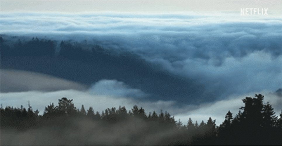 Sea Of Clouds Flowing Above Mountain GIF