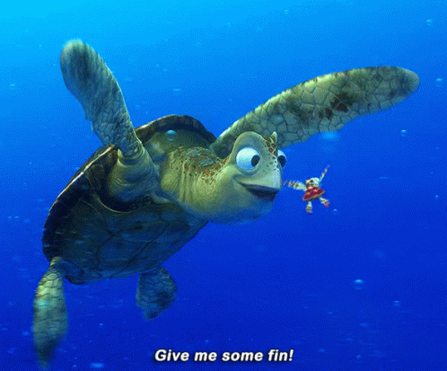 Sea Turtle Swimming With Give Me Some Fin