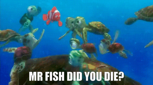 Sea Turtles and Fish Swimming Mr Fish Did You Die