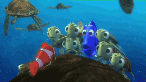 Sea Turtles Swimming Around Blue Fish
