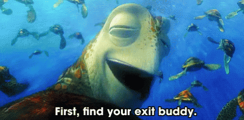 Sea Turtles Swimming First Find Your Exit Buddy