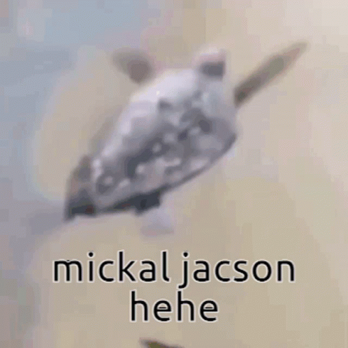 Seagull Flying Over Sandy Beach Saying Mickal Jacson Hee
