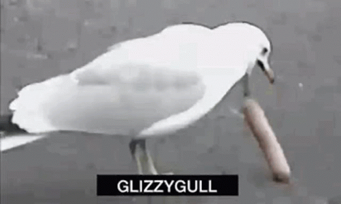 Seagull Swallowing Glizzy GIF