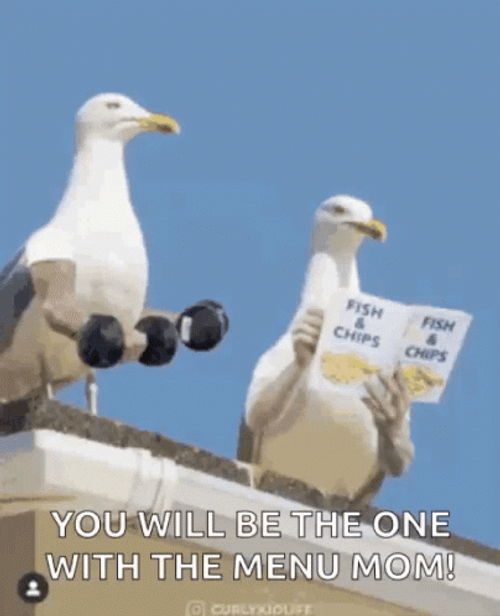 Seagull You'll Be One With Menu Mom Meme GIF