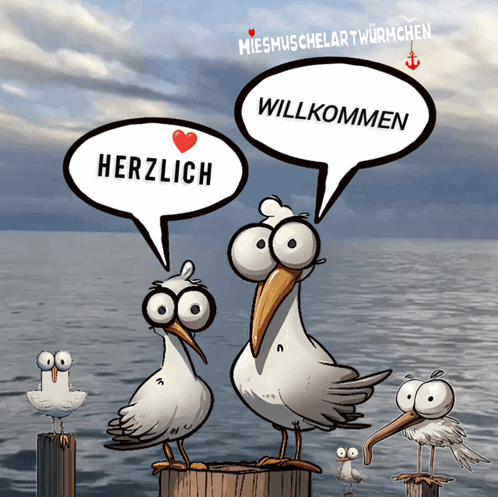 Seagulls On Dock Saying Herzlich Willkommen GIF