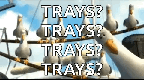 Seagulls Sitting On A Wire With The Words Trays Trays Trays GIF