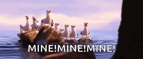 Seagulls Standing on Rocks Shouting Mine