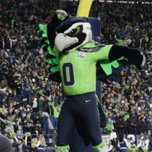 Seahawks Mascot In Front Of Crowd GIF