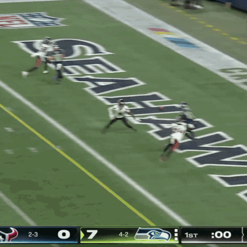Seahawks Vs Heat Football Game GIF