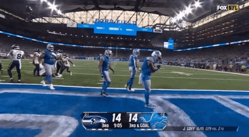 Seahawks vs Lions Football Game