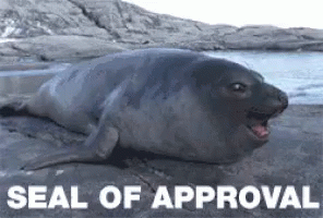 Seal Opening Mouth GIF