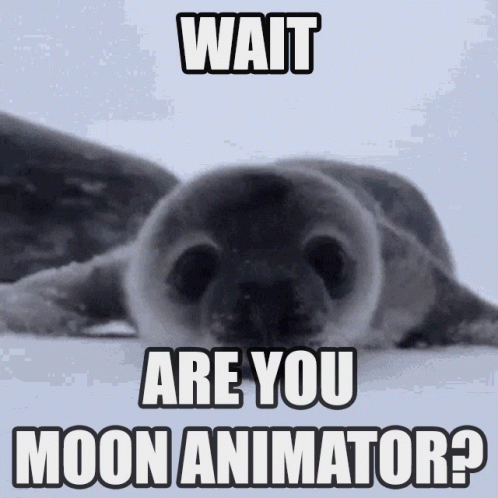 Baby Seal Crawling Towards The Camera GIF