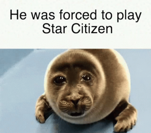 Seal Forced to Play Star Citizen